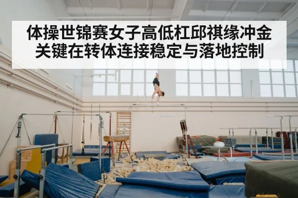 gymnastics landing mat - kaiyun